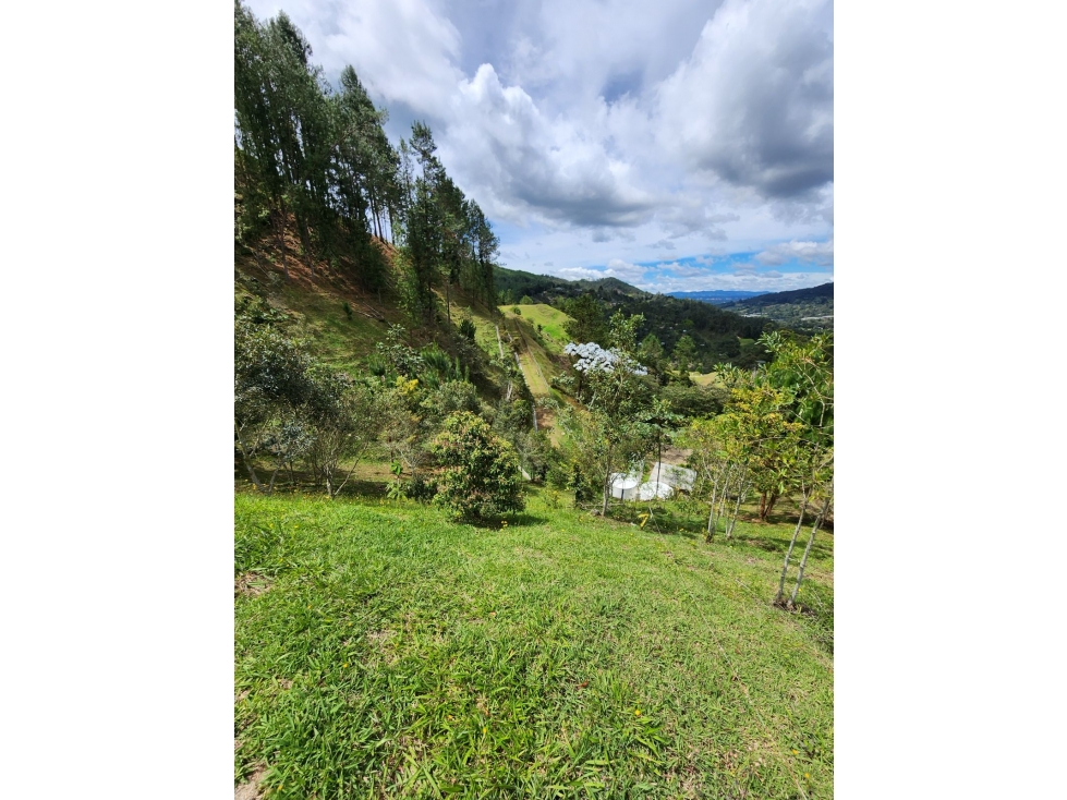 Hermoso Lote en ubicación privilegiada — foto 2