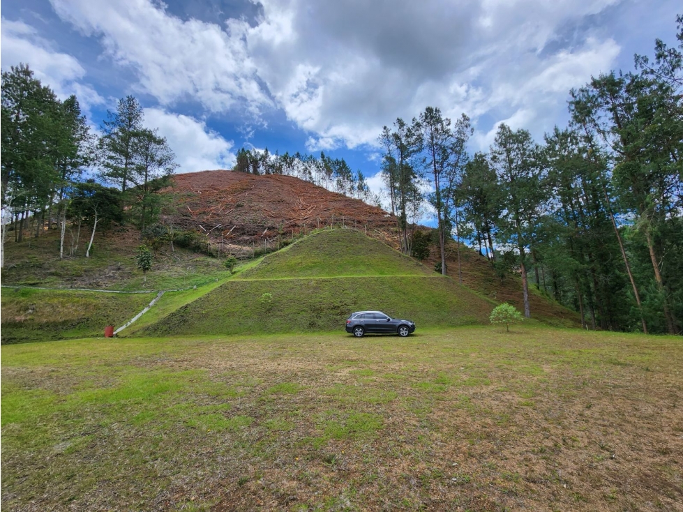 Hermoso Lote en ubicación privilegiada — foto 3