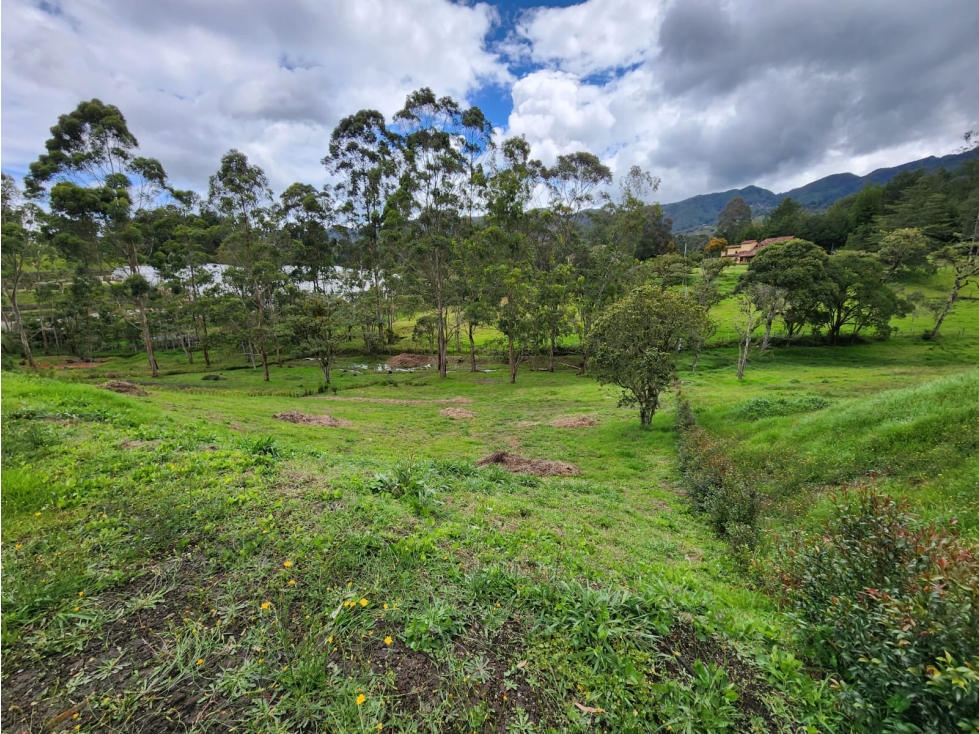 Hermoso Lote Campestre rodeado de naturaleza y tranquilidad — foto 4