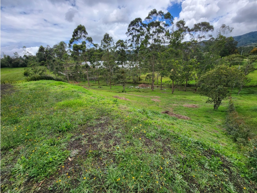 Hermoso Lote Campestre rodeado de naturaleza y tranquilidad — foto 6