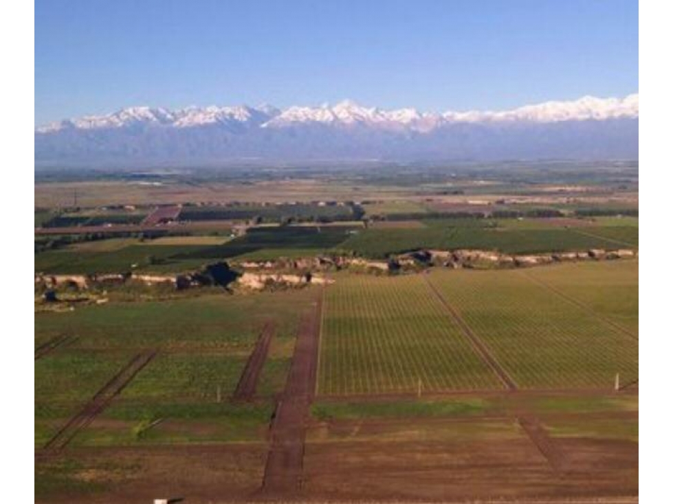 Finca en Venta en Jocolí, Lavalle - Mendoza - Oportunidad Rural 48 Hs - 1