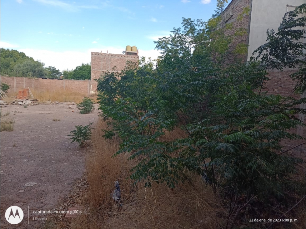 VENTA ESPECTACULAR LOTE CALLE ESPAÑA MENDOZA - 6