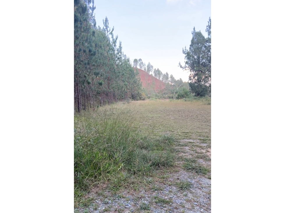 Lote para la venta embalse de la Fe, El Retiro (A) - 1