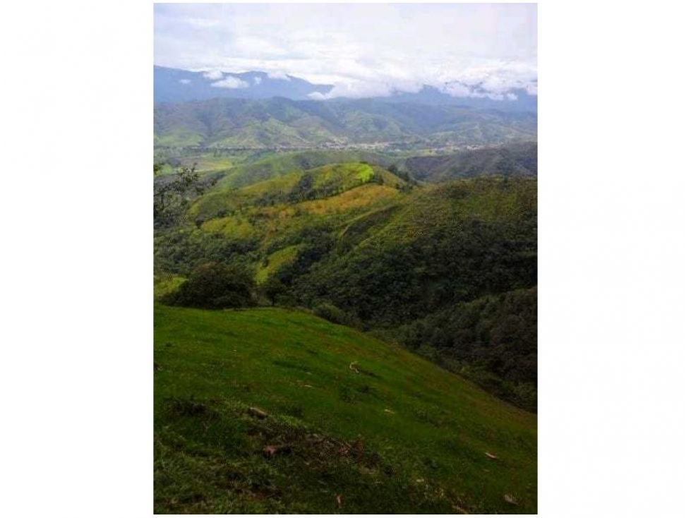Finca en Venta, Frontino, Antioquia — foto 2