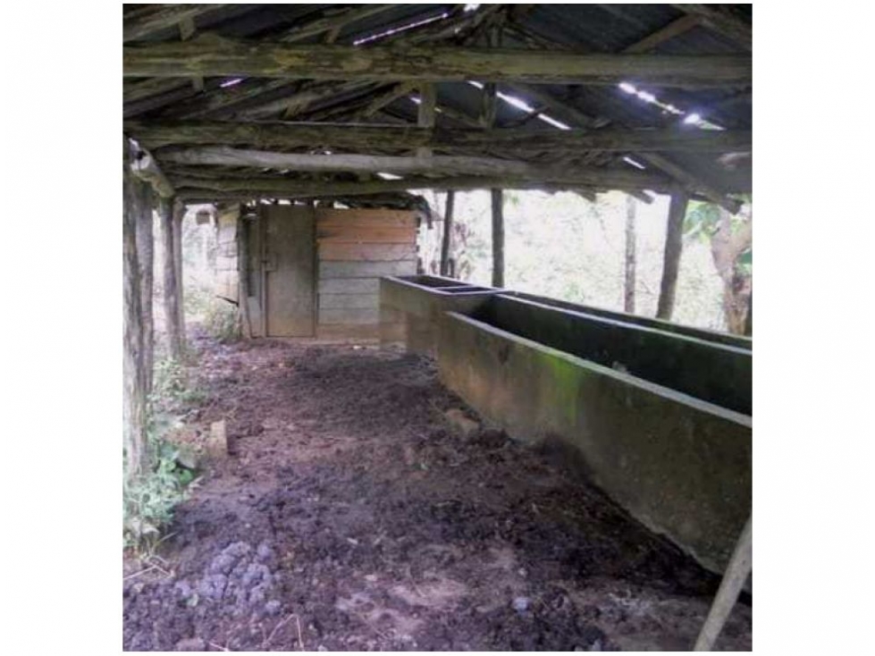Finca en Venta, Frontino, Antioquia — foto 3
