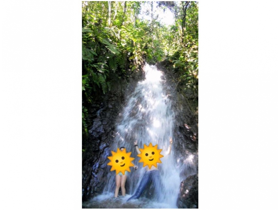 Finca en Venta, Frontino, Antioquia — foto 4
