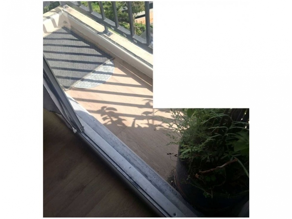 Apartamento en Venta, Calasanz en Medellín — foto 6