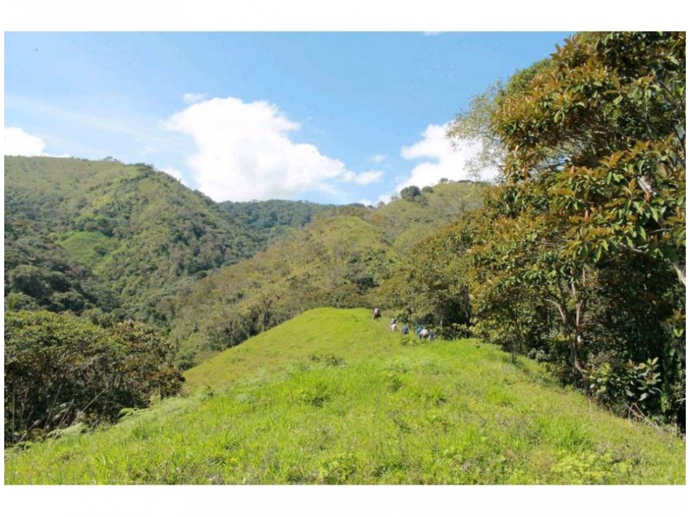 Finca en Venta, Frontino, Antioquia