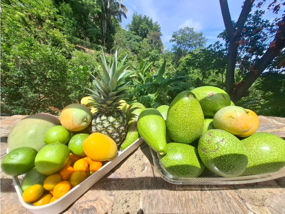 Venta de casa finca Minca 2 hectareas casa amoblada árboles frutales