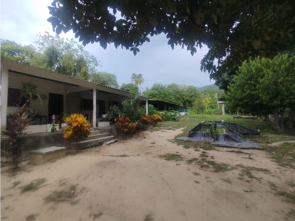 Venta finca 50 hectáreas Tierralinda Bonda Santa Marta — foto 3