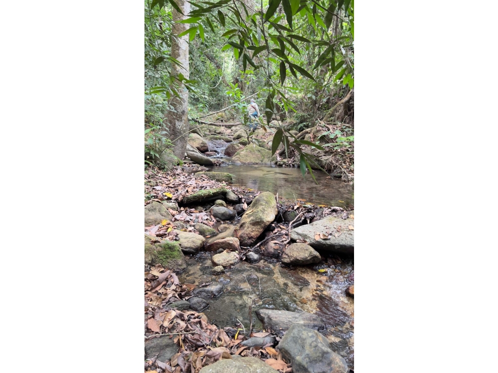 Venta de Lote en Minca, Santa Marta, Ideal para Proyecto Ecológico — foto 2