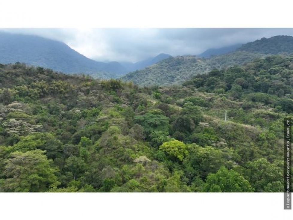 Venta de finca de 16 hectáreas en Minca-Vía Pozo Azul — foto 2