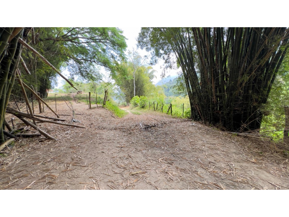 Venta de Lote en Minca, Santa Marta, Ideal para Proyecto Ecológico — foto 3