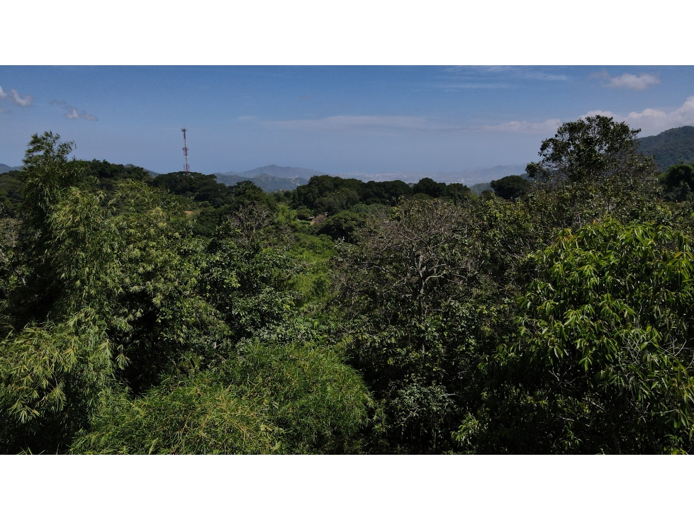 Venta lotes en MINCA Sierra Nevada de SANTA MARTA, Colombia — foto 2