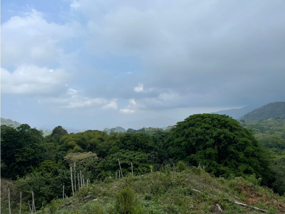 Venta Finca Sierra Nevada en Minca - Santa Marta - 3