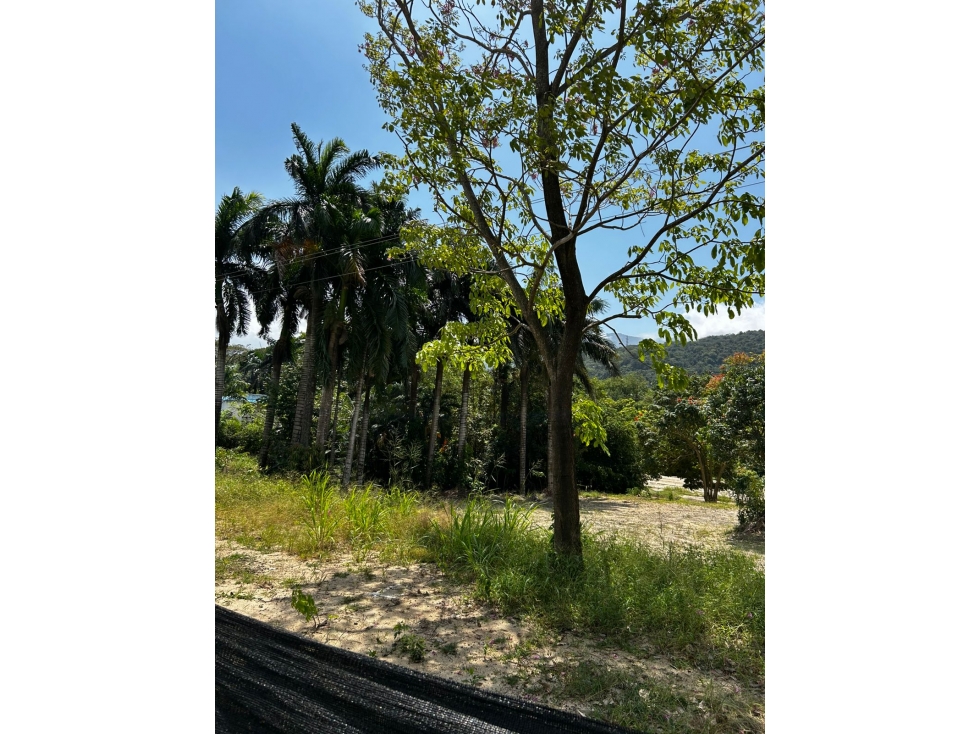 Lote Campestre en Venta en Calabazo, Bonda Cerca del Tayrona