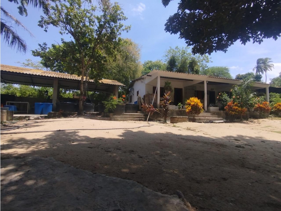 Venta finca 50 hectáreas Tierralinda Bonda Santa Marta — foto 4