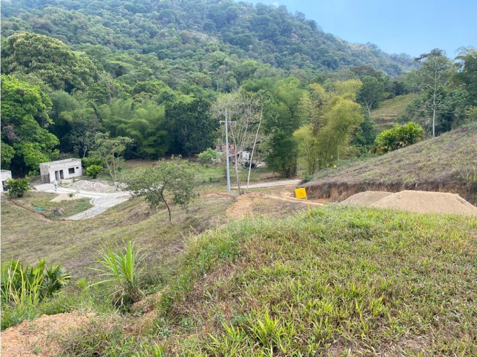 Venta de lote con abundante vegetación en Minca-Santa Marta — foto 4
