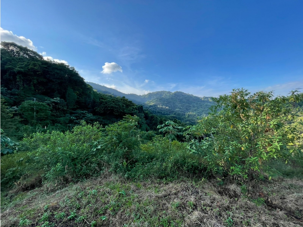Venta de lotes campestres en Minca Santa Marta - 2
