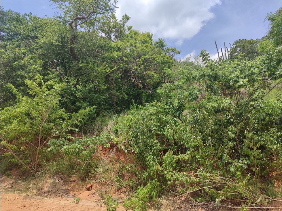 Venta de lote en Neguanje Santa Marta - 2