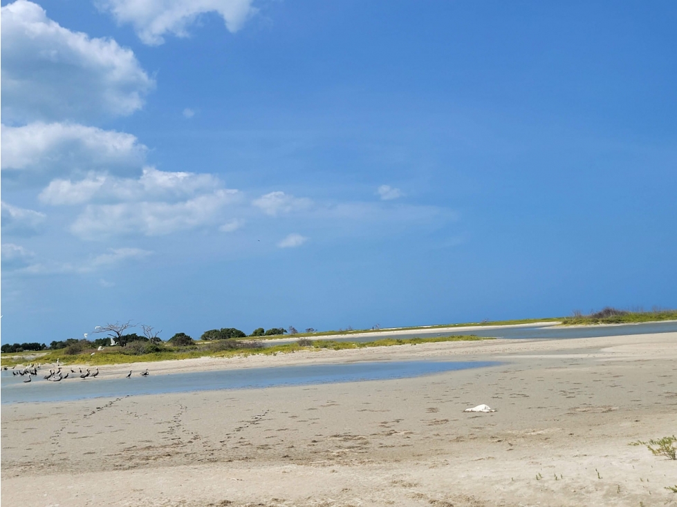 Venta de lote frente al mar en Manaure Guajira - 3