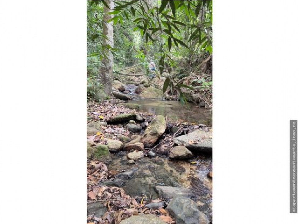 Venta de finca de 16 hectáreas en Minca-Vía Pozo Azul — foto 3