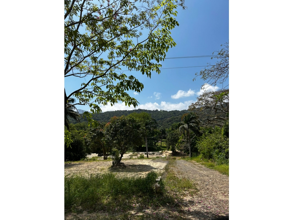 Lote Campestre en Venta en Calabazo, Bonda Cerca del Tayrona — foto 3
