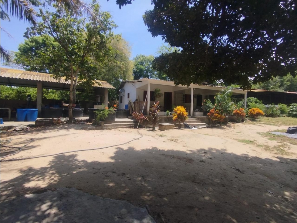 Venta finca 50 hectáreas Tierralinda Bonda Santa Marta — foto 5