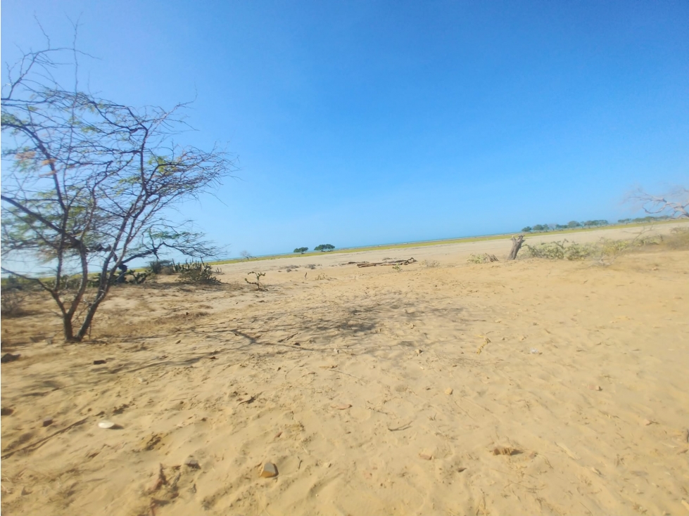 Venta de lote frente al mar en Manaure Guajira - 4