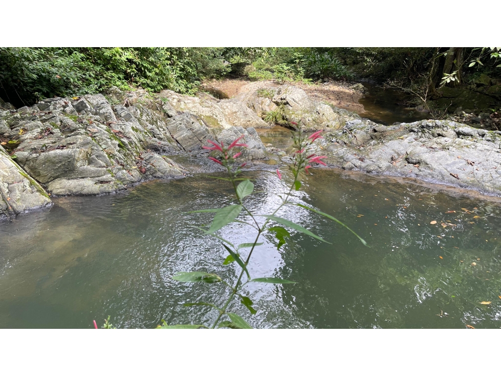 Venta finca Sierra Nevada via Ciudad Perdida — foto 4