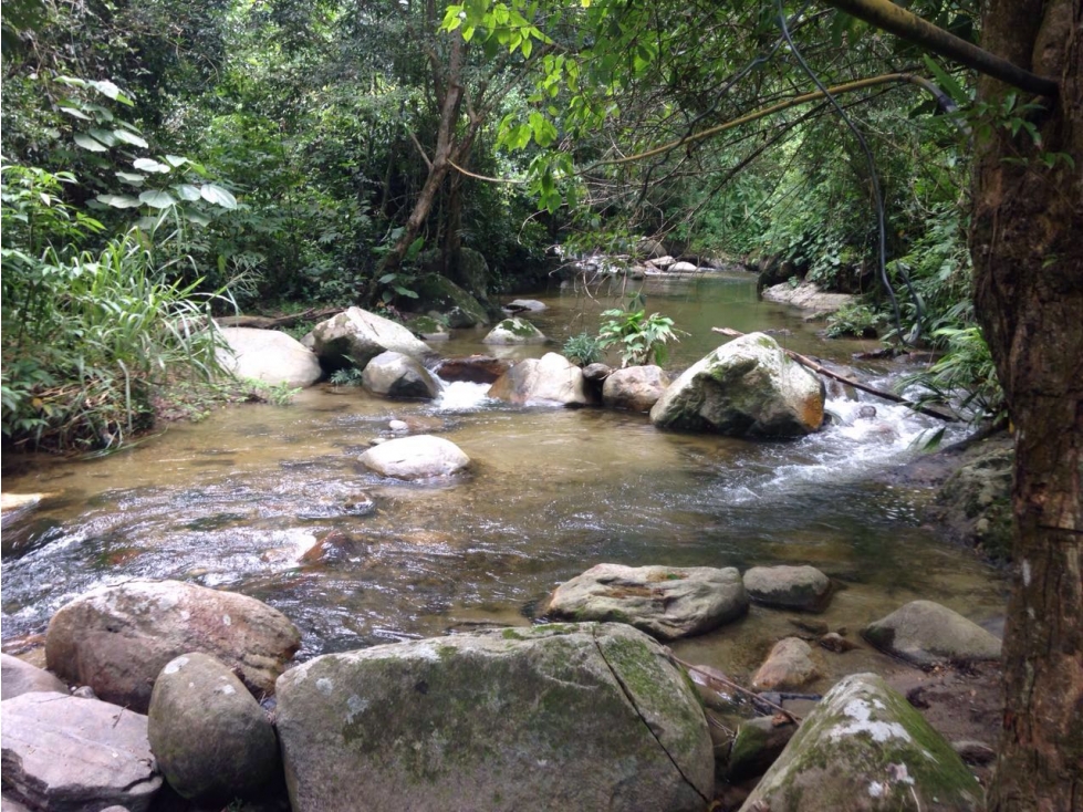 Venta lotes en MINCA Sierra Nevada de SANTA MARTA, Colombia — foto 4