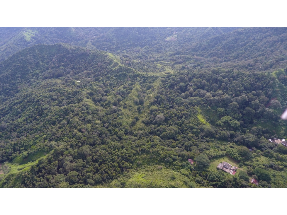 Venta de Lote en Minca, Santa Marta, Ideal para Proyecto Ecológico — foto 6