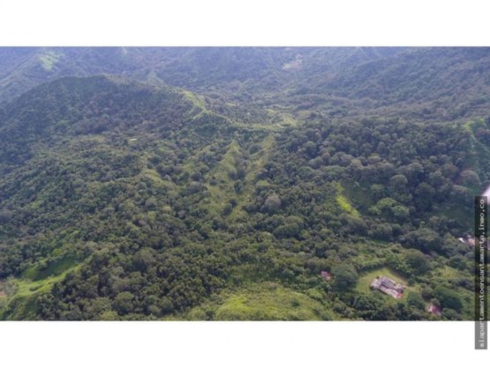 Venta de finca de 16 hectáreas en Minca-Vía Pozo Azul — foto 4