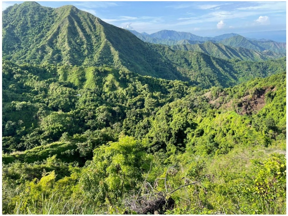 Finca en Marinka - Jolonura, Minca - Santa Marta — foto 4