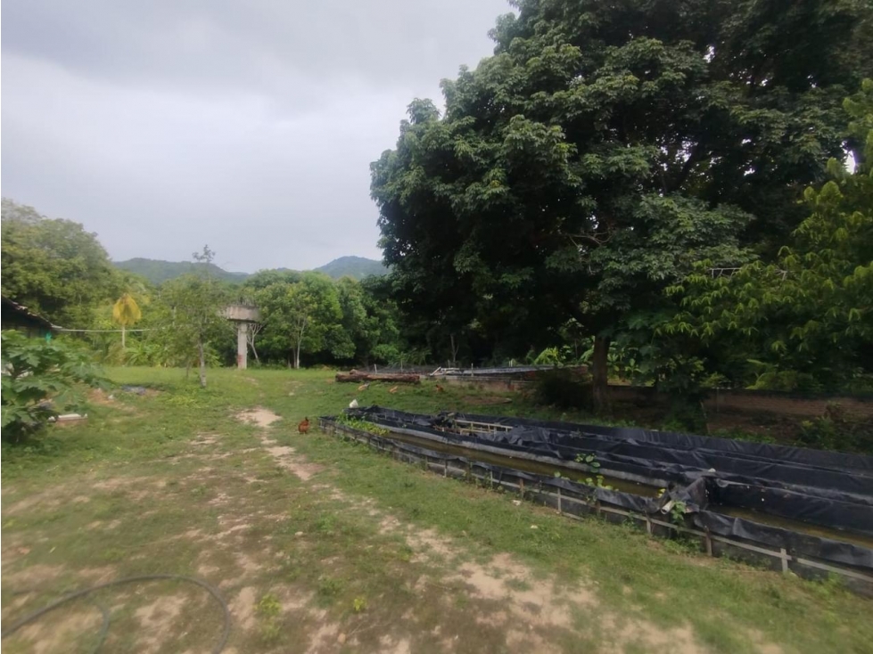 Venta finca 50 hectáreas Tierralinda Bonda Santa Marta — foto 6