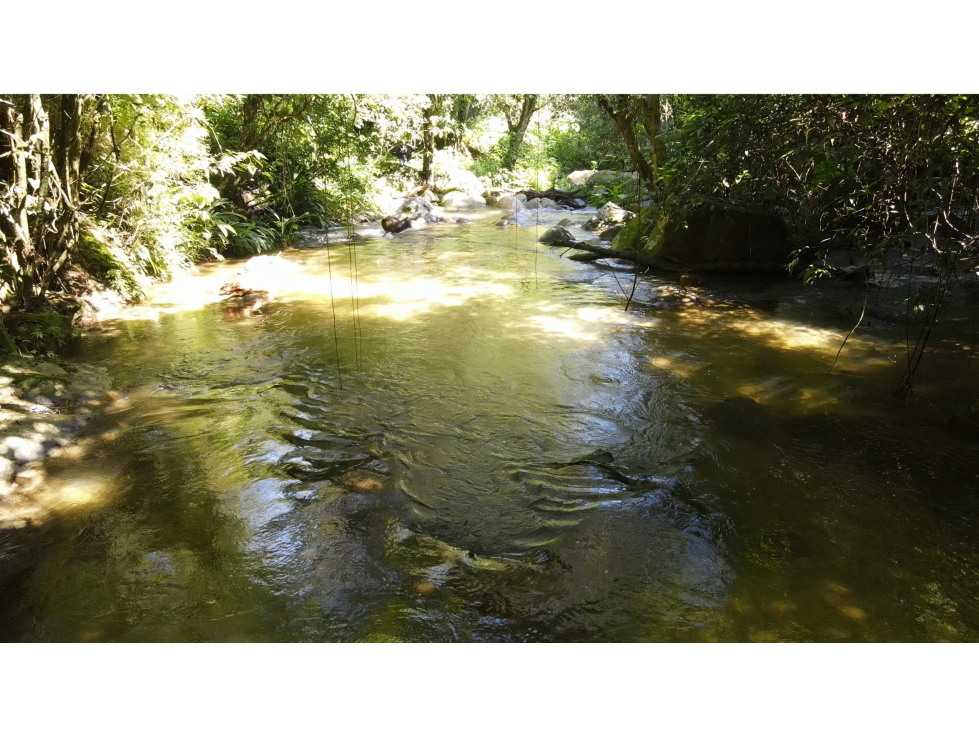 Venta lotes en MINCA Sierra Nevada de SANTA MARTA, Colombia — foto 5