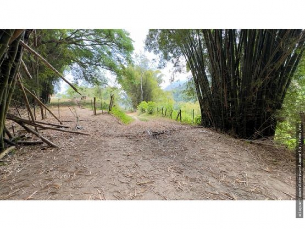 Venta de finca de 16 hectáreas en Minca-Vía Pozo Azul — foto 5