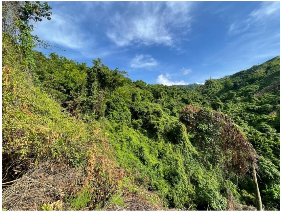 Finca en Marinka - Jolonura, Minca - Santa Marta — foto 5