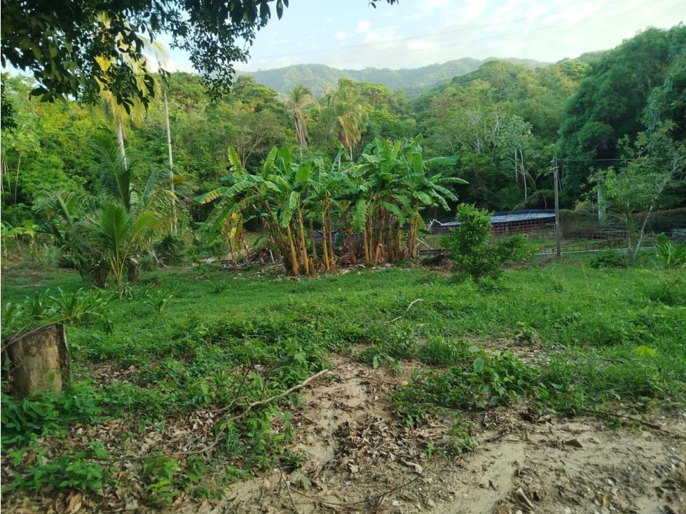 Venta finca 50 hectáreas Tierralinda Bonda Santa Marta