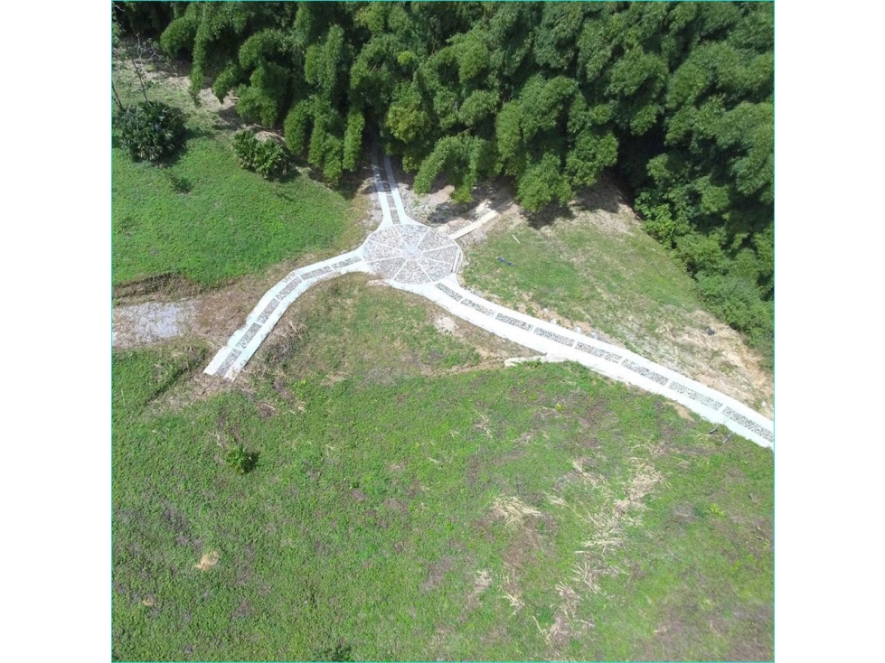 Venta de lote con abundante vegetación en Minca-Santa Marta — foto 6