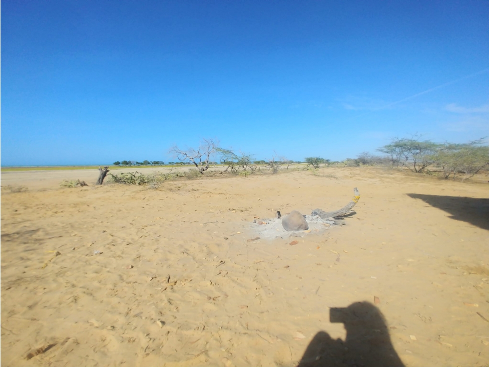 Venta de lote frente al mar en Manaure Guajira - 5