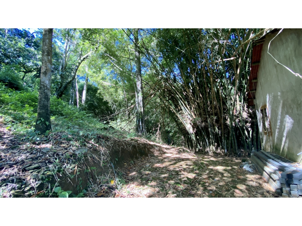 Venta lotes en MINCA Sierra Nevada de SANTA MARTA, Colombia — foto 6