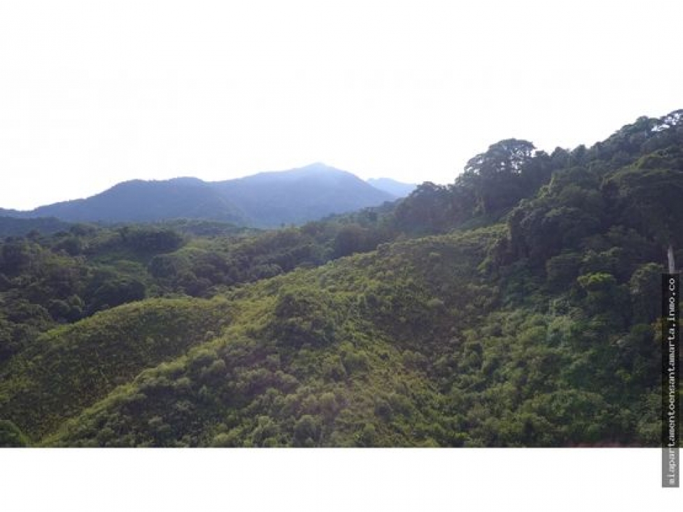 Venta de finca de 16 hectáreas en Minca-Vía Pozo Azul — foto 6