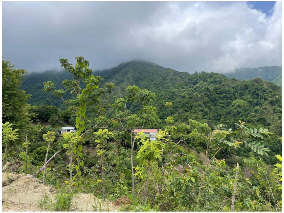 Finca en Marinka - Jolonura, Minca - Santa Marta — foto 6