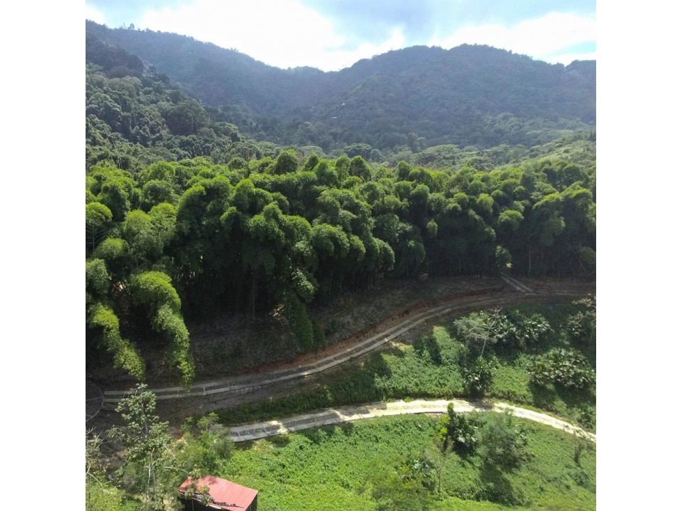 Venta de lote con abundante vegetación en Minca-Santa Marta