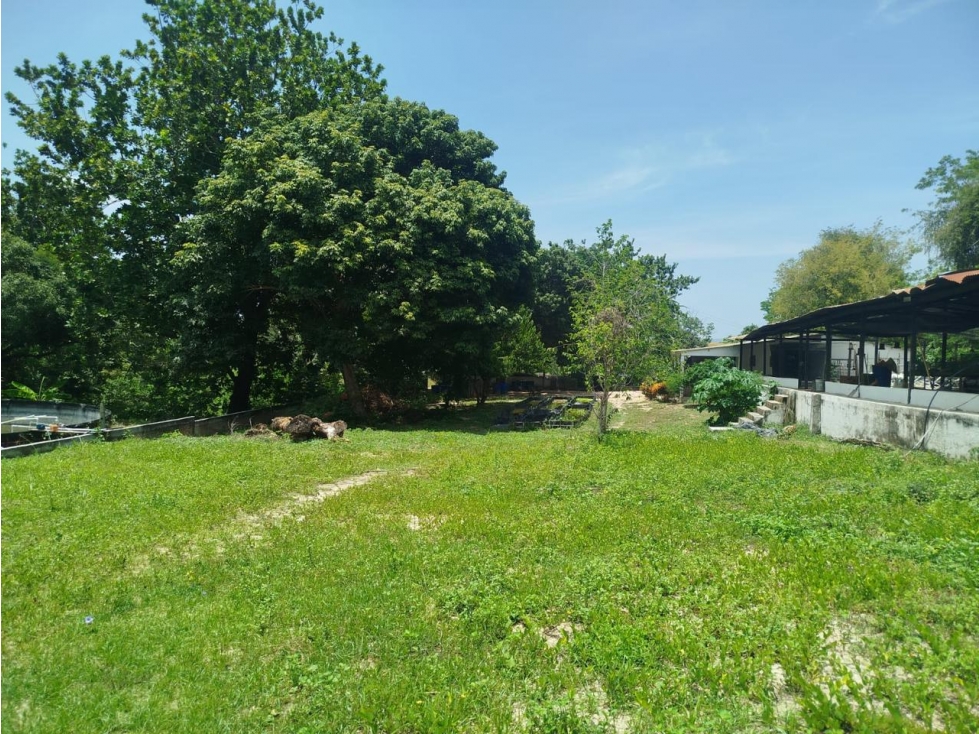 Venta finca 50 hectáreas Tierralinda Bonda Santa Marta — foto 2