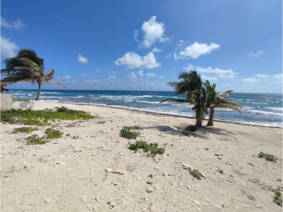 SPLENDID BEACHFRONT 3 BEDROOM APPARTMENT PRESALE PRICE