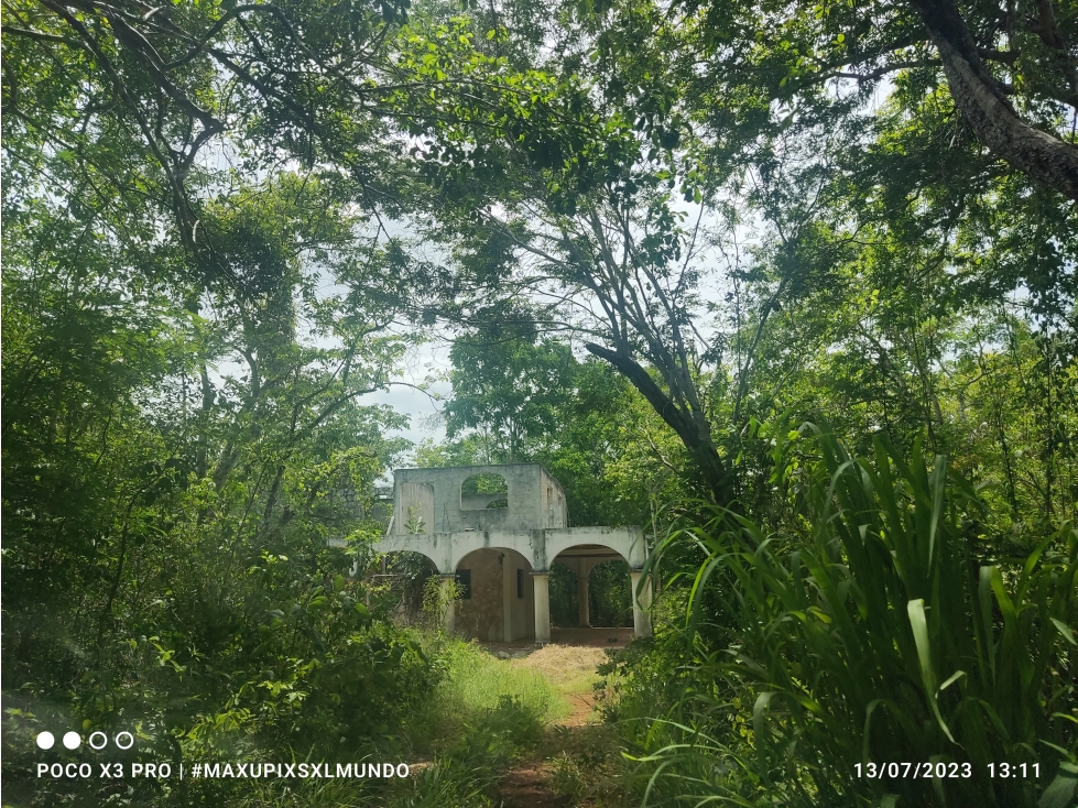RANCHO 100 HECTAREAS CON CENOTE EN CHICHEN ITZA - 1