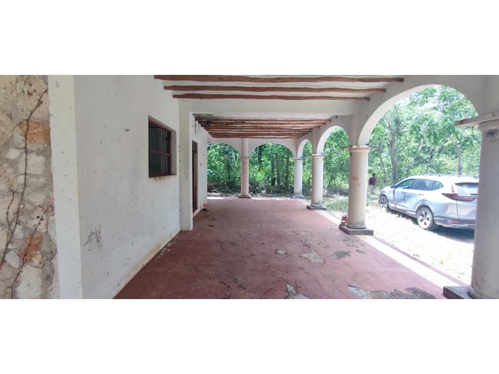 RANCHO 100 HECTAREAS CON CENOTE EN CHICHEN ITZA - 5