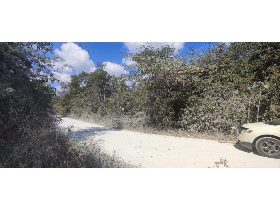 6.3 HECTAREAS EN AKUMAL PUEBLO TULUM - 2